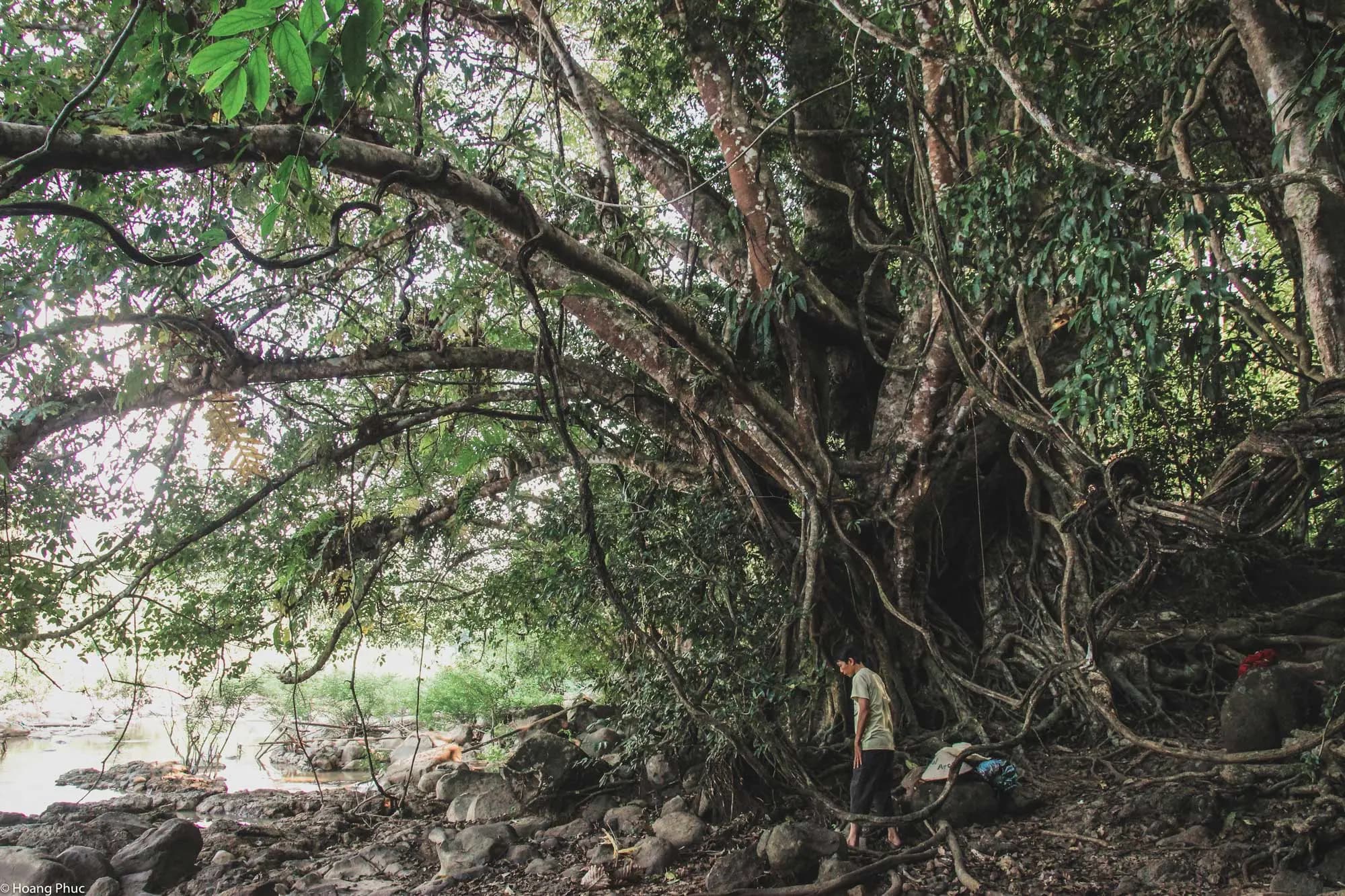 phucphuccom Retreat Núi Tượng