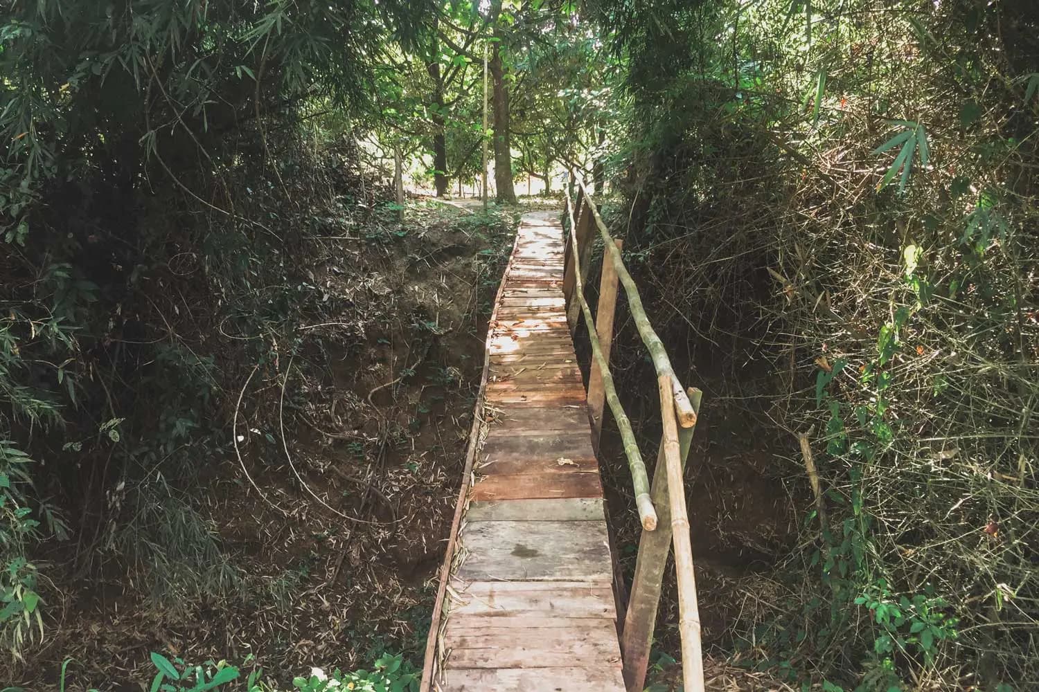 phucphuccom Retreat Núi Tượng