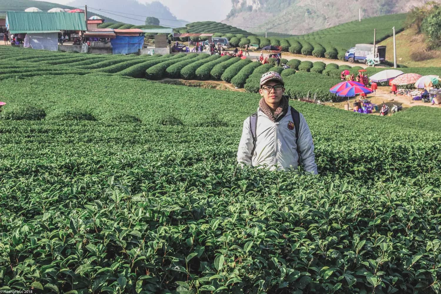phucphuccom Miền Bắc mùa rét