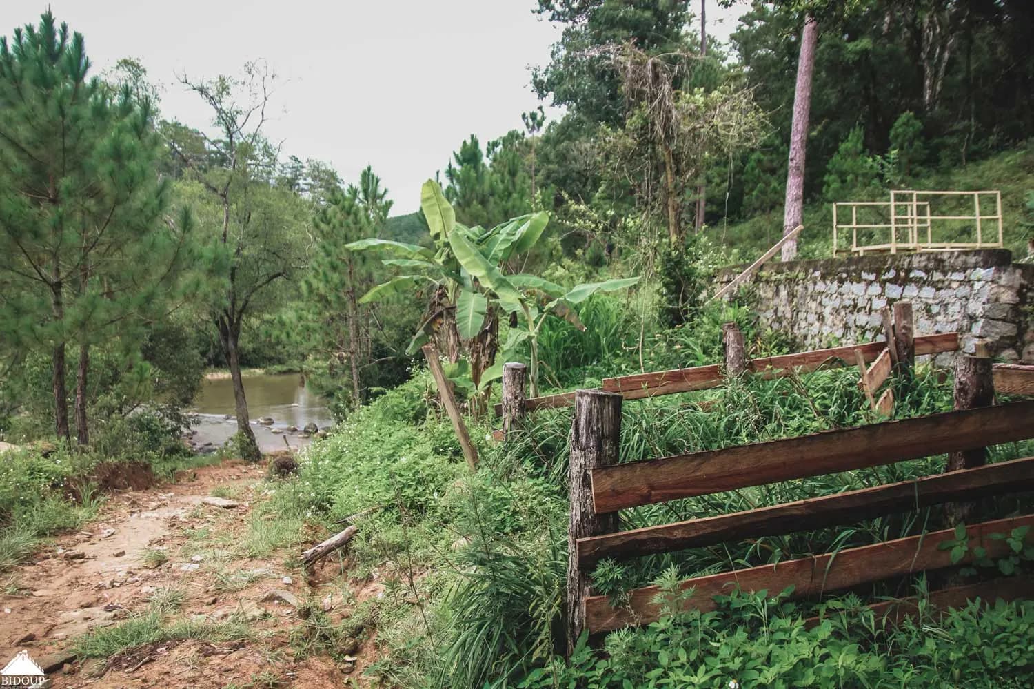 phucphuccom Một vòng Bidoup