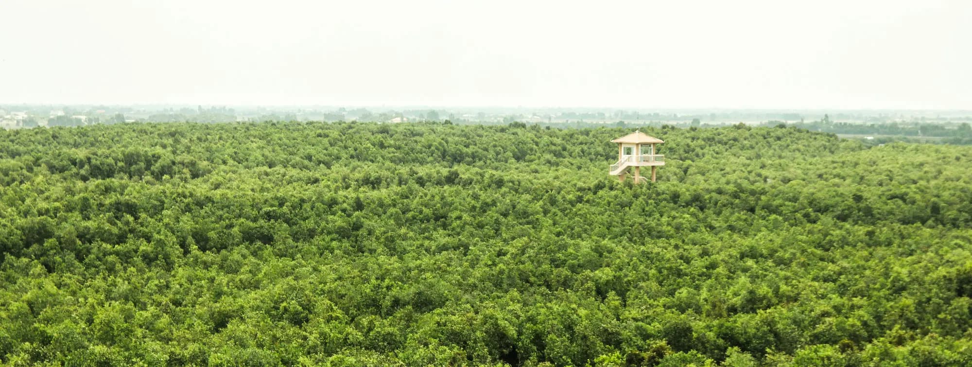 phucphuccom Miền Đông Bắc