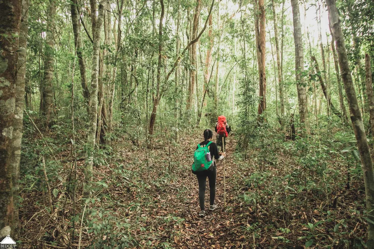 phucphuccom Một vòng Bidoup